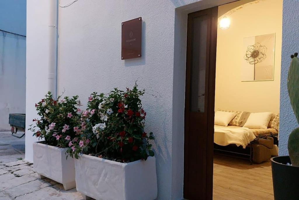 Bosa Home B&B 세글리에 메사피카 외부 사진